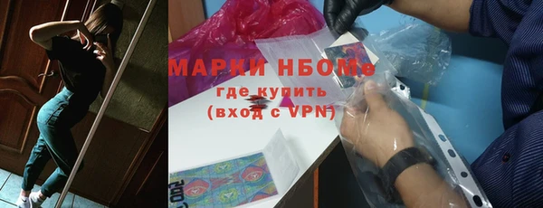 индика Володарск