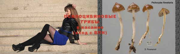 а пвп мука Волоколамск