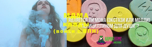 индика Володарск