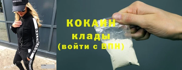 индика Володарск
