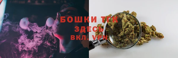 индика Володарск
