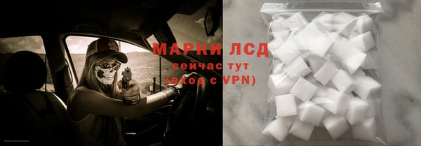 индика Володарск