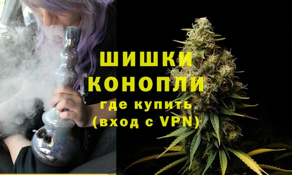 индика Володарск