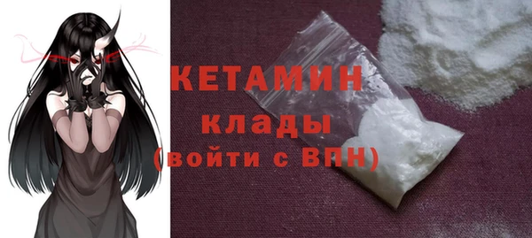 индика Володарск