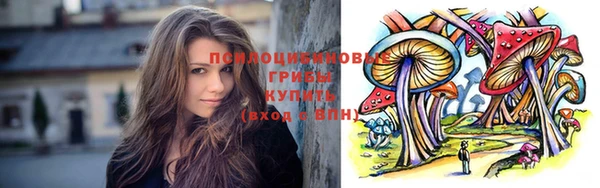 индика Володарск
