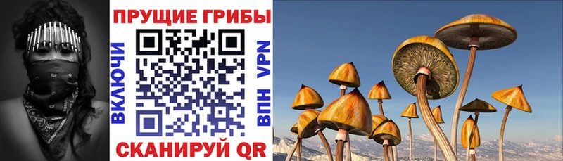 Галлюциногенные грибы ЛСД  купить   mega зеркало  Ногинск 